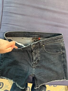 Nasty Pig Jean shorts sz 29